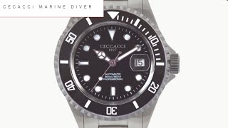 Ceccacci Automatic Marine Diver  Homage  Steinhart Alternative [upl. by Anselma911]