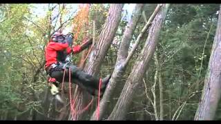 How to sharpen a chainsaw easilychainsaw chain sharpeningAnsell [upl. by Wolfy299]