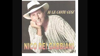 Nico dei Gabbiani  Voglio amarti così cover [upl. by Fatma737]