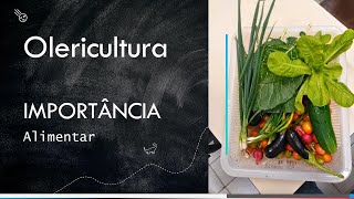 Será que as hortaliças estão em posição adequada na pirâmide alimentar [upl. by Garey]