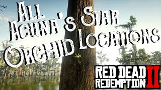 Red Dead Redemption 2  All 10 Acunas Star Orchid Locations Duchesses and Other Animals Exotics [upl. by Chow]