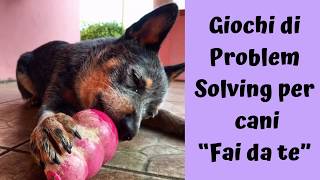 Giochi di Problem Solving per Cani “Fatti in Casa”😍 [upl. by Walrath]