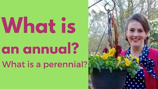 What is an annual plant What is a perennial plant  The Gardenettes [upl. by Rodavlas]