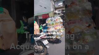 Transporting aquarium fish on a motorbike vietnam Cá để bán shorts [upl. by Cristal]