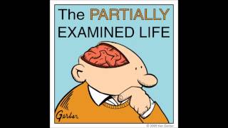 Partially Examined Life podcast  Nietzsche  On Truth amp Lies in a Nonmoral Sense [upl. by Oinesra]