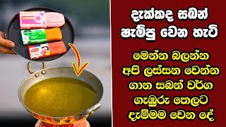 ඔබ මේවා දකින්නේ ජිවිතේ පළමු වතාවට EP311 [upl. by Notsecnirp]