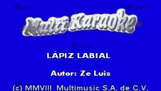 MULTIKARAOKE  Lápiz Labial [upl. by Marduk]