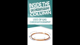 Gas Chromatography uses and how it works [upl. by Eseilenna]