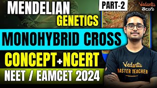 GeneticsMonohybrid Cross  NCERT Biology  NEETEAMCET 2024  Ajay Sir [upl. by Gunter]