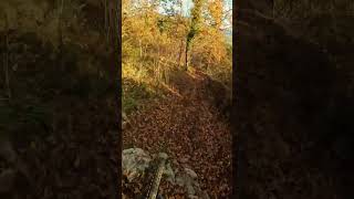 Nuovo pezzo di trail a SKABRIJEL MTB gopro enduro new trail [upl. by Yhtommit]