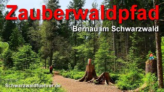 Zauberwaldpfad in Bernau im Schwarzwald [upl. by Madanhoj]