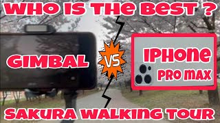 Gimbal Vs iPhone 12 pro max  Sakura Walking Tour  rogelyn tv [upl. by Yelir]