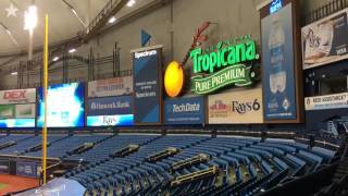 The Stars 30second ballpark tour Tropicana Field [upl. by Nehgam801]