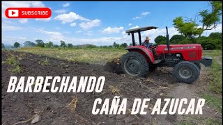 Barbecho de Caña de azucar con tractor massey ferguson 285 [upl. by Gibbie315]