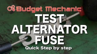 Car Battery Dead Check Your Alternator Fuse [upl. by Yoreel321]