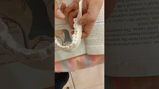 mandible osteology anatomy mbbs1st year gmc motivation afmc neet medicalcollegedream mbbs [upl. by Essex]