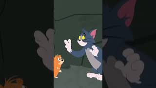 Bear Attack  Tom and Jerry  BoomerangUK  shorts kids cartoons [upl. by Zerat]