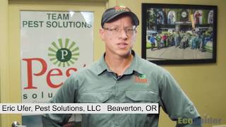 Professional Exterminators Recommend EcoRaider for Treating Bed Bugs [upl. by Artap]