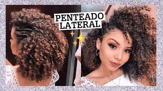 PENTEADO DE FESTA P CABELOS CACHEADOS E CRESPOS  AnaTodoDia 05 [upl. by Robbyn425]