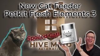 Spoiling the Cat with a new Petkit Smart Pet Feeder [upl. by Nairret]