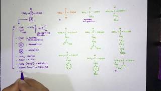 Generalidades de aminoácidos función y clasificación [upl. by Haniraz]