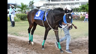 JAMAICA RACING Funometer At 41 In Sun Sept 15 2024 6th [upl. by Berga]