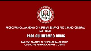 Microsurgical Anatomy of Cerebral Surface and Cranio Cerebral Key Points by Prof Guilherme C Ribas [upl. by Yeneffit]