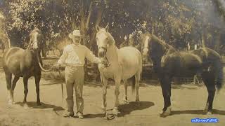 Le ranch de Charles de Brémond 1894 à1909 à Roswell USA grand éleveur de brebis quotKarakulquot [upl. by Sims]