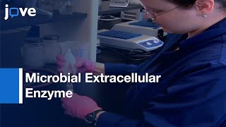 Microbial Extracellular Enzyme Activity Analysis by Microplate Assays  Protocol Preview [upl. by Stanford138]