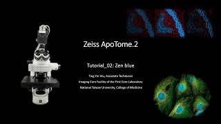 Tutorial Zeiss ApoTome2 中文操作示範 2Zenblue軟體操作 PART1 [upl. by Acenes]