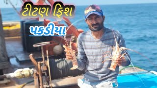 ટીટણ ફિશ પકડીયા titan fish  dariyaNikahanigujrativolggujrati volg okhaport fishing [upl. by Ploss]