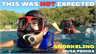 Snorkeling in Nusa Penida Bali  Kelingking Beach  NarendraRaj [upl. by Sacken]