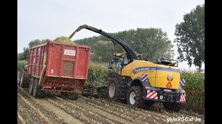 New Holland FR ensilage de maïs [upl. by Eirolam]