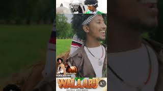 Leencoo Gammachuu Walaabuu New Oromoota Music 2023 [upl. by Dickinson]