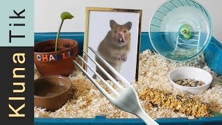 Kluna got a HAMSTER for ANIMAL DAY Kluna Tik Dinner 35  ASMR eating sounds no talk [upl. by Nawk]