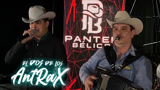 Los Alegres Del Barranco X Panter Bélico  El Dos De Los Antrax en vivo [upl. by Kucik945]