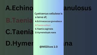 Taenia solium Taenia saginata medicalstudent viralvideo shortvideo microbiology viralshorts [upl. by Sacrod922]