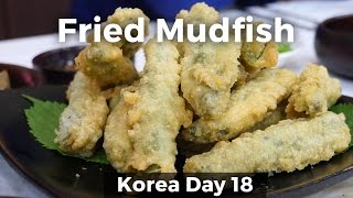 Eating Crispy Mudfish in Namwon South Korea Day 18 [upl. by Hachmin]