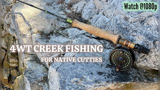 4WT Cutthroat Fishing [upl. by Mainis]