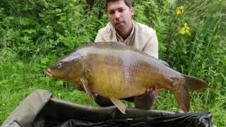 Sommer Sonne Karpfen  Springtime carp fishing [upl. by Karrie528]