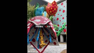 【草間彌生特集展示】出張撮影 草間彌生 美術館 長野県 松本市 素敵な作品がいっぱい観光地 日常 [upl. by Jill]