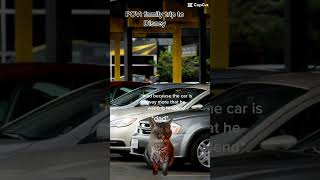 Pov family trip to Disney pt 3 funny memes cat shorts catmeme [upl. by Esil]