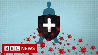 Coronavirus Immunity explained  BBC News [upl. by Riane]