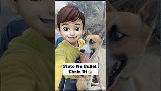 Pluto Ne Bike Chala Di 😱  doglover minivlog [upl. by Phebe]