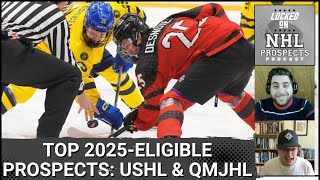 2025 NHL DRAFT QMJHL amp USHL PREVIEW  Scouts Analysis [upl. by Dominik694]