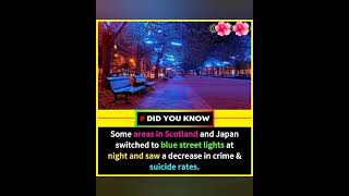 Did you Know  Blue street lights for decrease crime 🥺😢😱😯 [upl. by Leander]