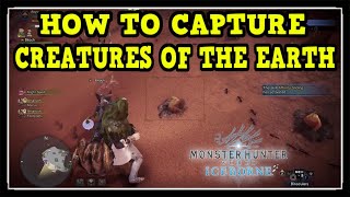 MHW Iceborne Creatures of the Earth Trophy  Achievement Guide Creature that Dig Holes [upl. by Enelak]