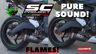 ZX25R  SC PROJECT EXHAUST  PURE SOUND  CEBU [upl. by Enoyrt]