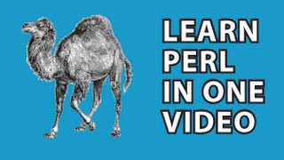 Perl Tutorial [upl. by Inek669]