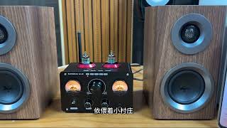 Exquisite bookshelf speaker and amplifier [upl. by Lisabeth]